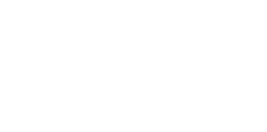 ADG Venture Group